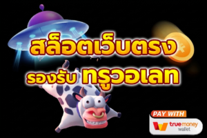 ระบบ ฝากถอนวอเลท อัตโนมัติ รองรับ TrueMoney Wallet ไม่มีขั้นต่ำ ใช้งานผ่านมือถือได้สะดวก ปี 2026
